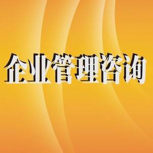 企业管理咨询5